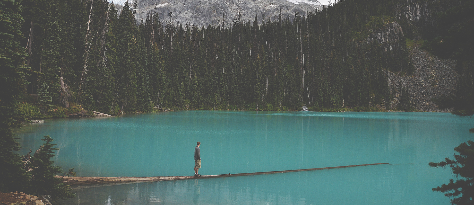 The Adventure Family